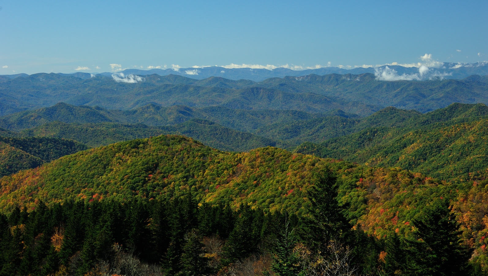 Blue Ridge Parkway [62 mm, 1/160 Sek. bei f / 10, ISO 400]